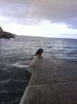 JTP00187 Marijn diving into sea at Guillemene with Rainbow.jpg